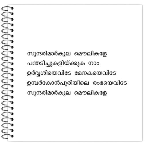 Picture of the product