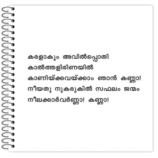 Picture of the product