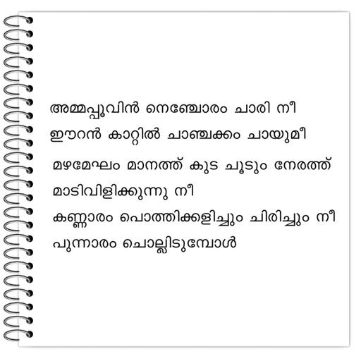 Picture of the product