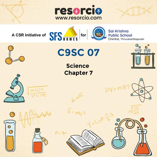 Picture of the product