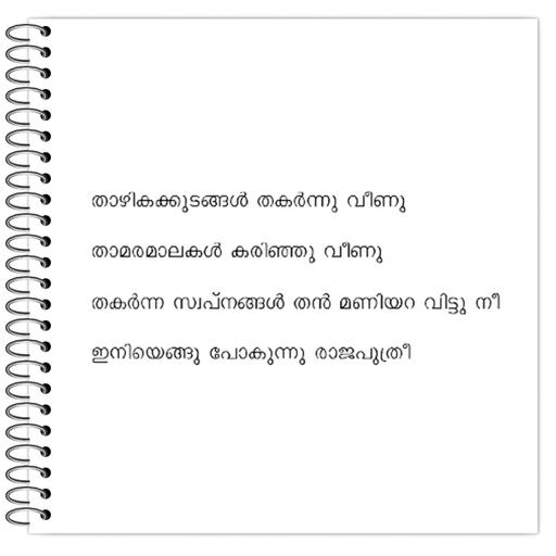 Picture of the product