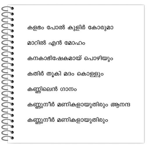 Picture of the product