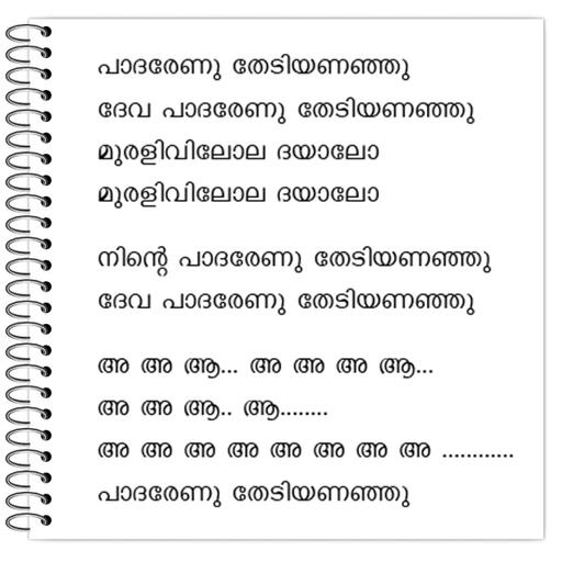 Picture of the product