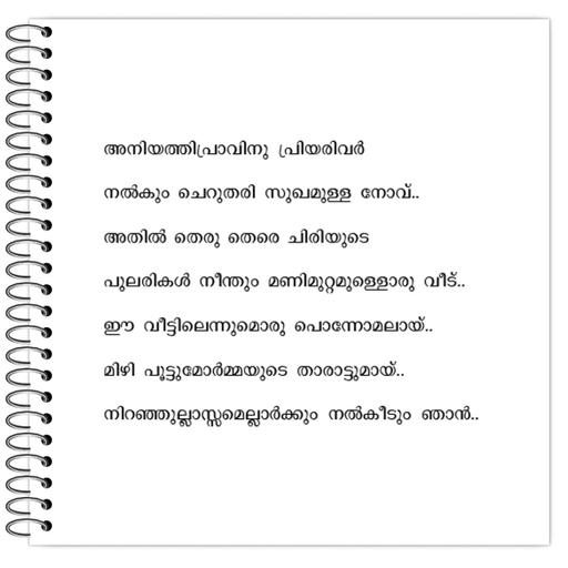 Picture of the product