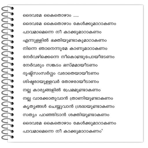 Picture of the product