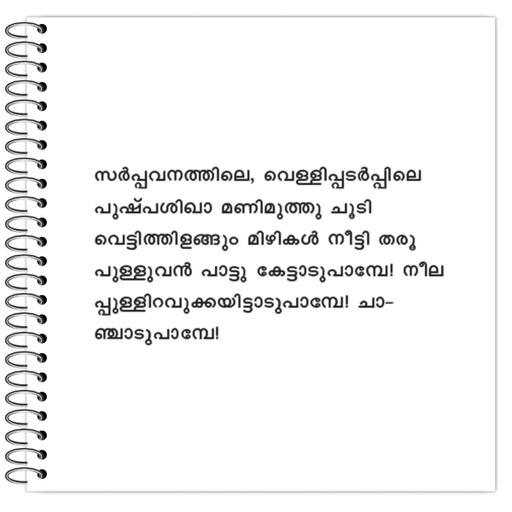 Picture of the product