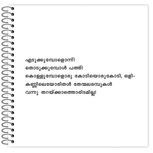 Picture of the product