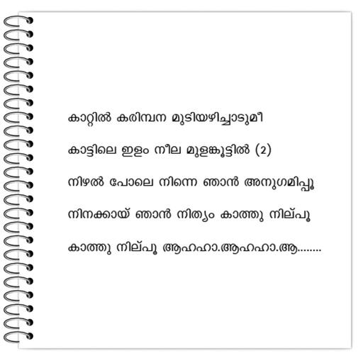 Picture of the product