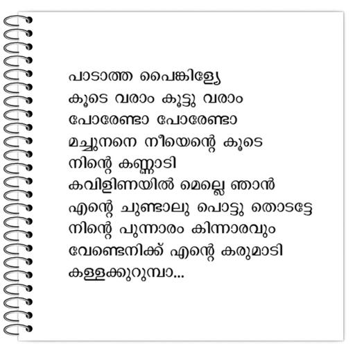 Picture of the product