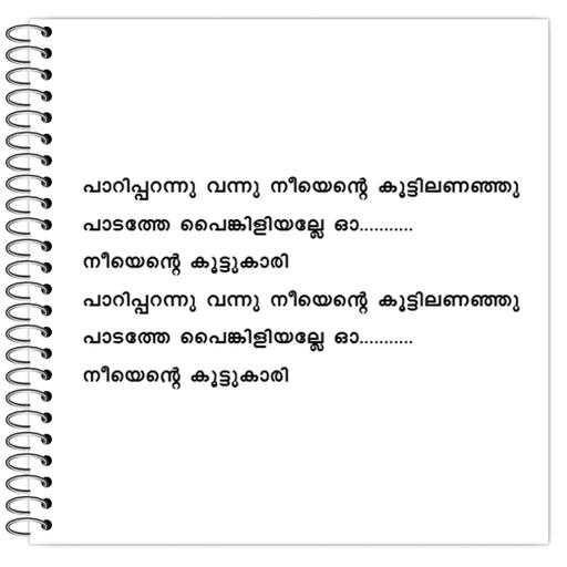 Picture of the product