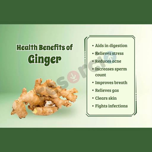 Picture of the product