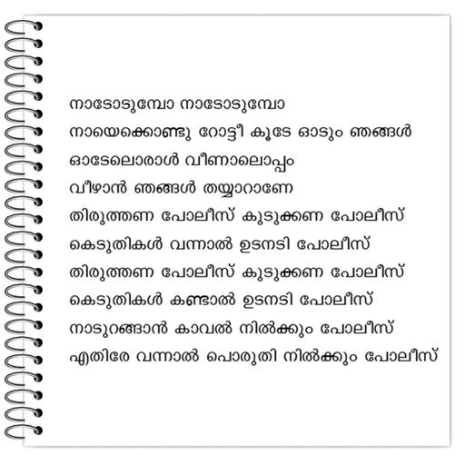 Picture of the product