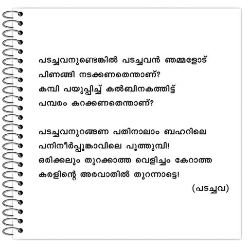 Picture of the product