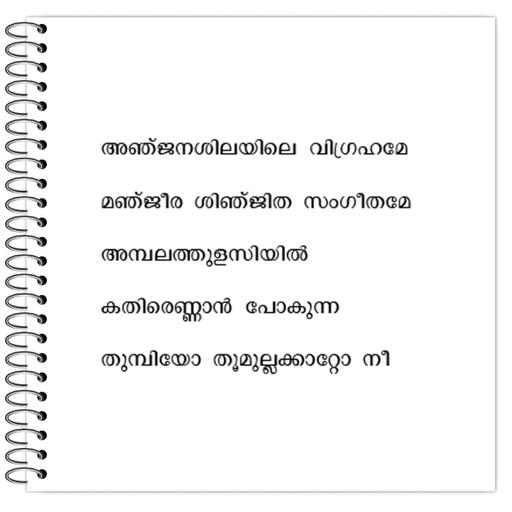 Picture of the product