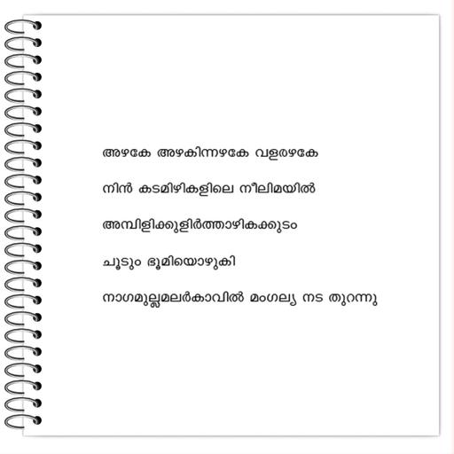 Picture of the product