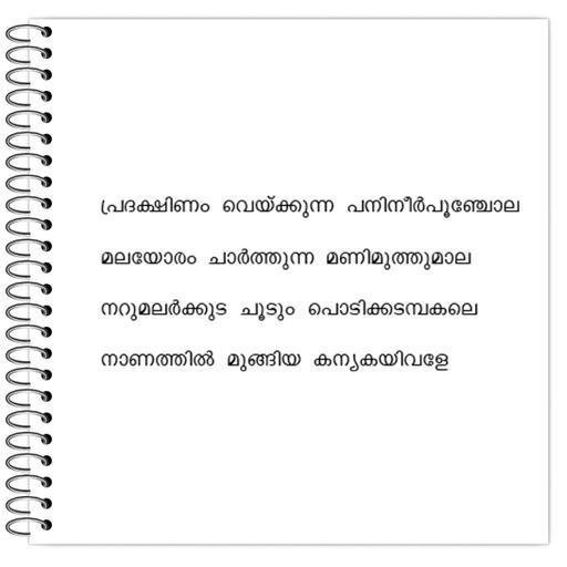 Picture of the product