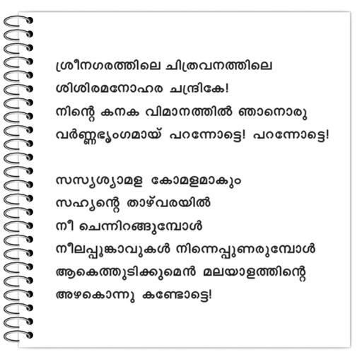 Picture of the product