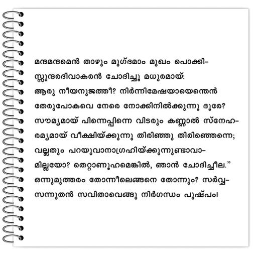 Picture of the product