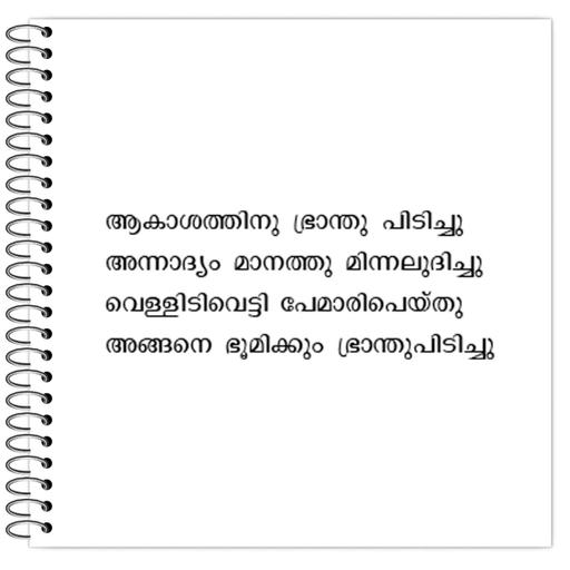 Picture of the product