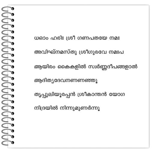 Picture of the product