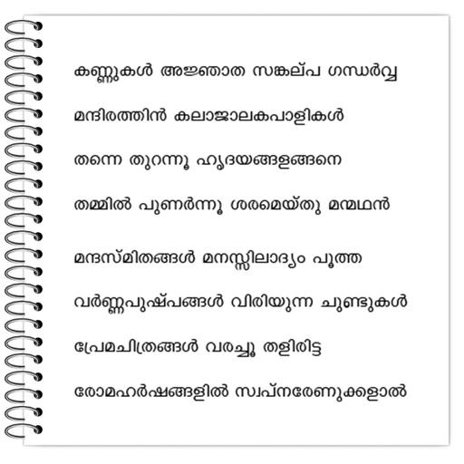 Picture of the product