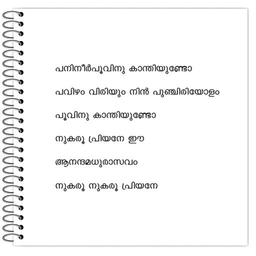 Picture of the product