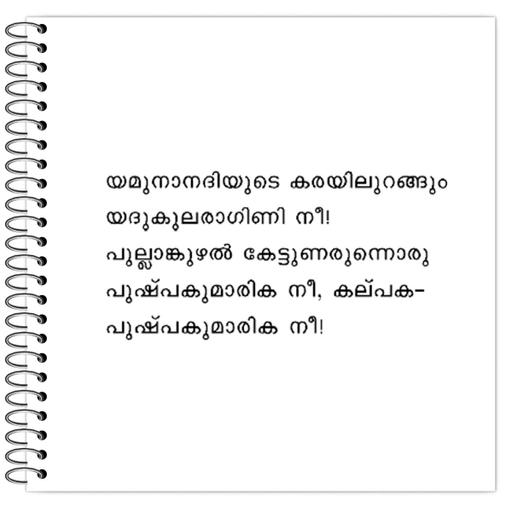 Picture of the product