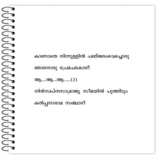 Picture of the product