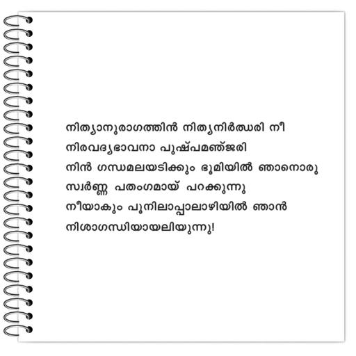 Picture of the product