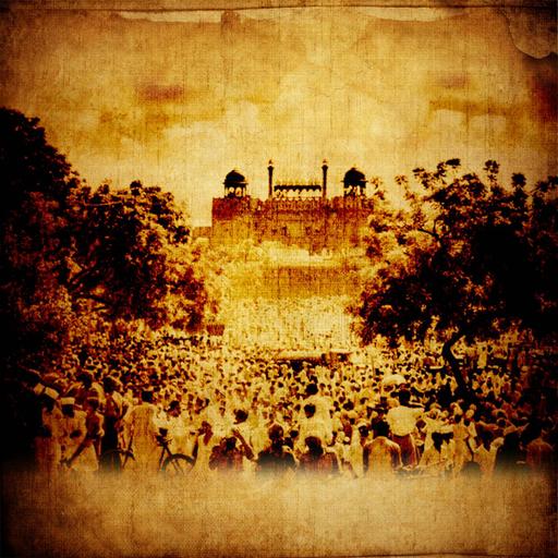 Picture of the product