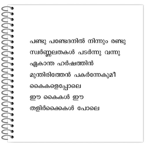 Picture of the product