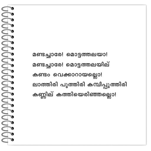 Picture of the product