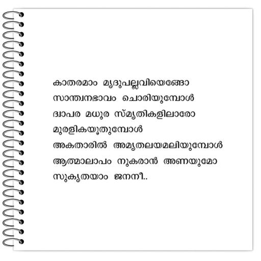 Picture of the product