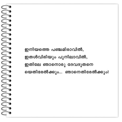 Picture of the product