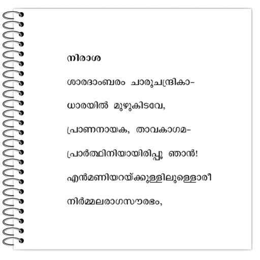 Picture of the product