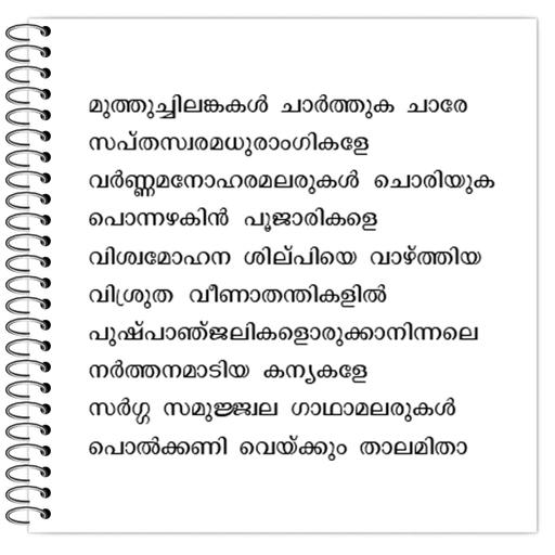 Picture of the product