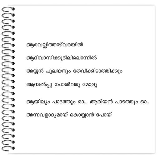 Picture of the product