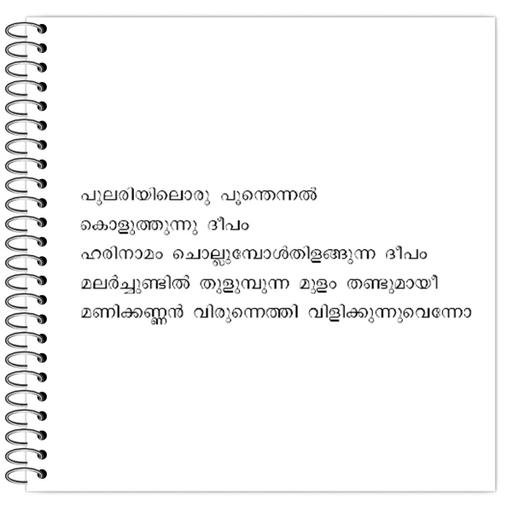 Picture of the product