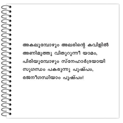 Picture of the product