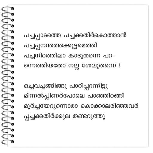 Picture of the product