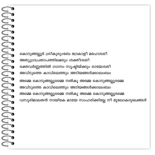 Picture of the product