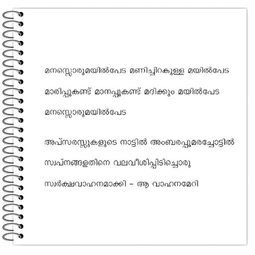 Picture of the product