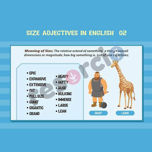 Picture of the product