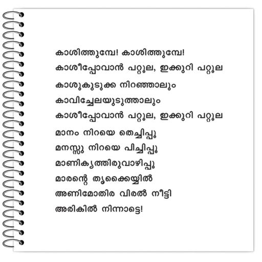 Picture of the product