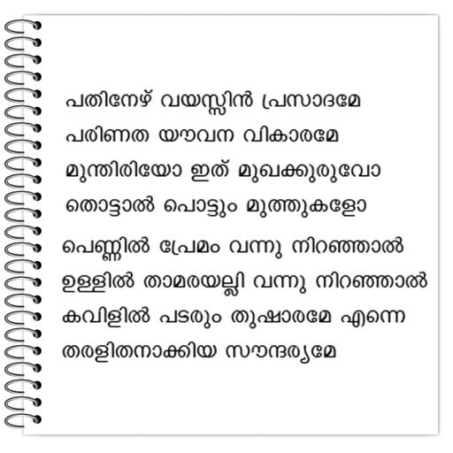 Picture of the product