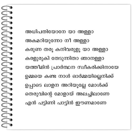 Picture of the product