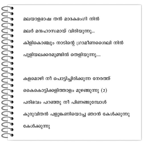 Picture of the product