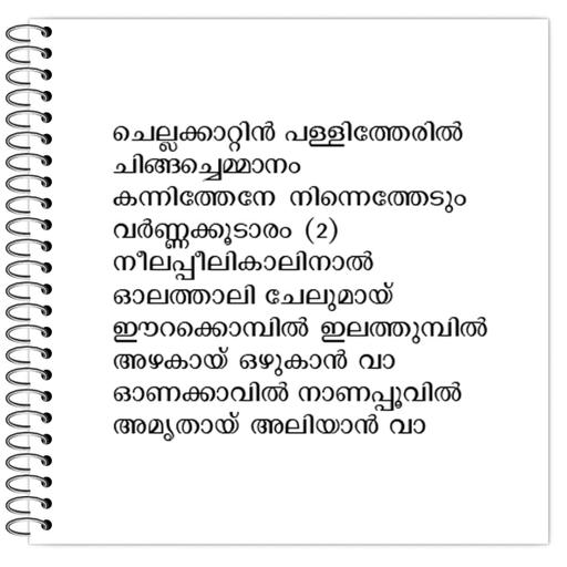 Picture of the product