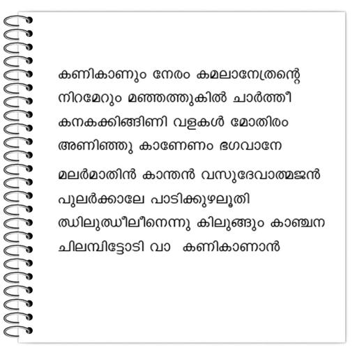 Picture of the product