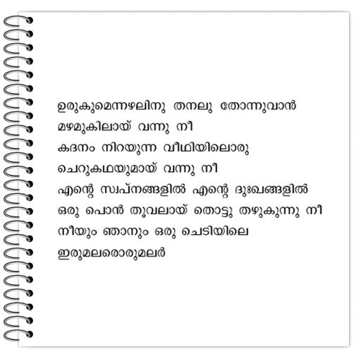 Picture of the product